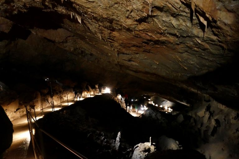 Skocjan Cave Day Trip