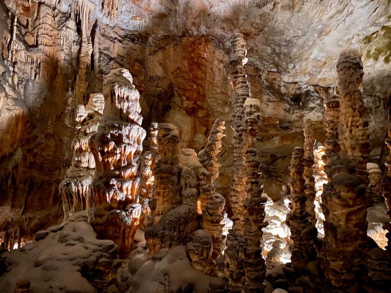 Postojna Cave Day Trip