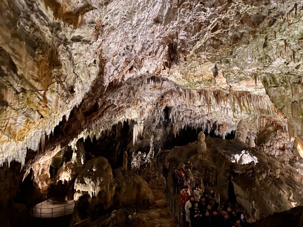 Postojna Cave Day Trip