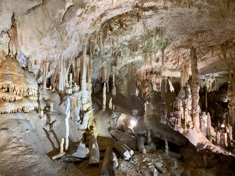 Postojna Cave Day Trip